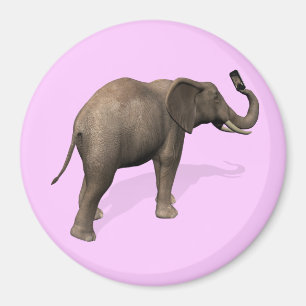 Imã Elefante Tomando Uma Selfie