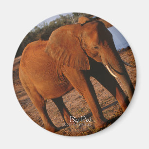 Imã Elefante vermelho grande