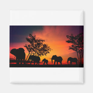 Imã Elefantes Africanos nas Planícies de Serengeti