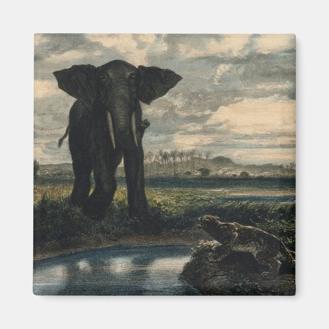 Imã Elefantes e Pantera no Deserto Indiano (Frente)