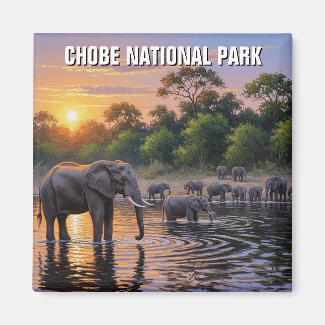 Imã Elefantes no Parque Nacional de Chobe, Botsuana (Frente)