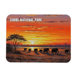 Ímã Elefantes no Parque Nacional de Chobe, Botsuana