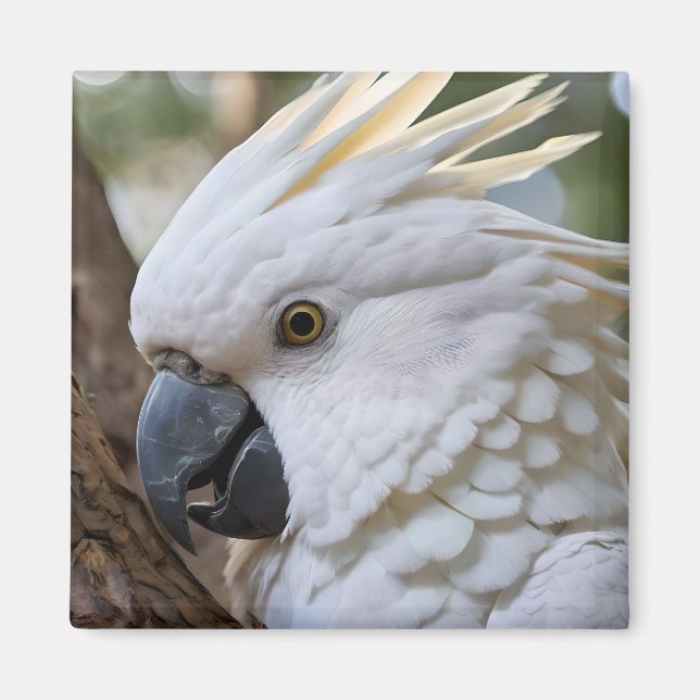 Imã Elegância em Branco: A Majestosa Cockatoo Aussie (Frente)