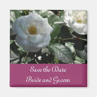 Imã Elegante Rosa Branca Salve a Data