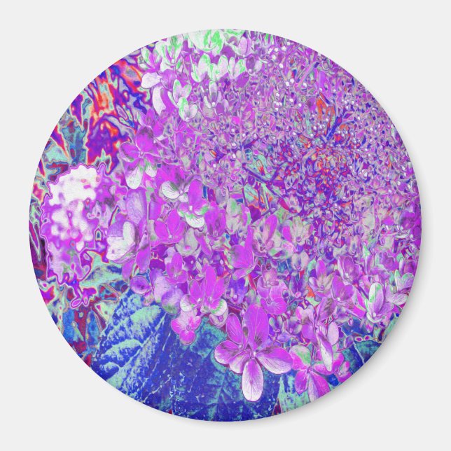 Imã Elegante Roxo e Blue Limelight Hydrangea (Frente)