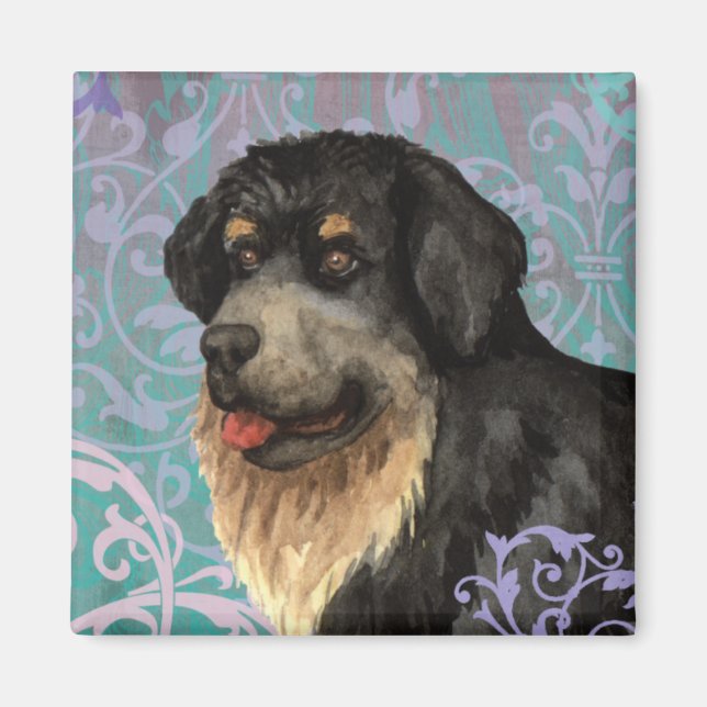 Imã Elegante Tibetano Mastiff Magnet (Frente)
