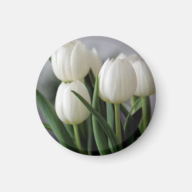 Imã Elegantes Flores Florais de Tulipa e Rosa Fotograf (Frente)