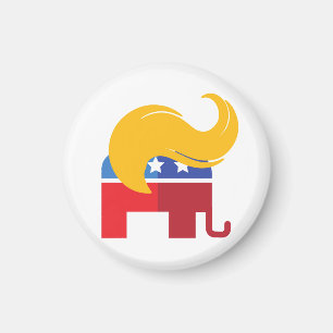 Imã Eleição Presidencial Trump 2024