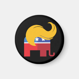 Imã Eleição Presidencial Trump 2024 