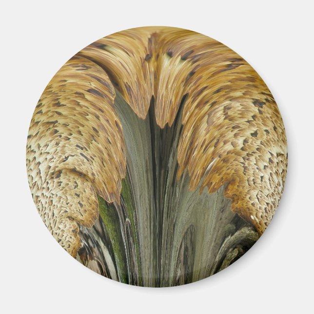 Imã Elementos de Coordenação de Fungos de Prateleira c (Frente)