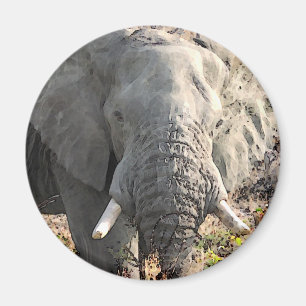 Imã Elephant Pop Art