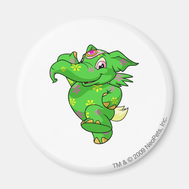 Imã Elephante Disco (Frente)