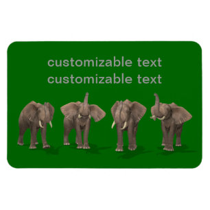 Ímã Elephants Quartet