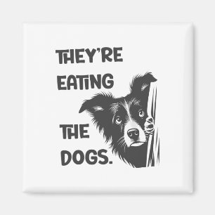 Imã Eles Estão Comendo Os Cachorros Da Eleição America