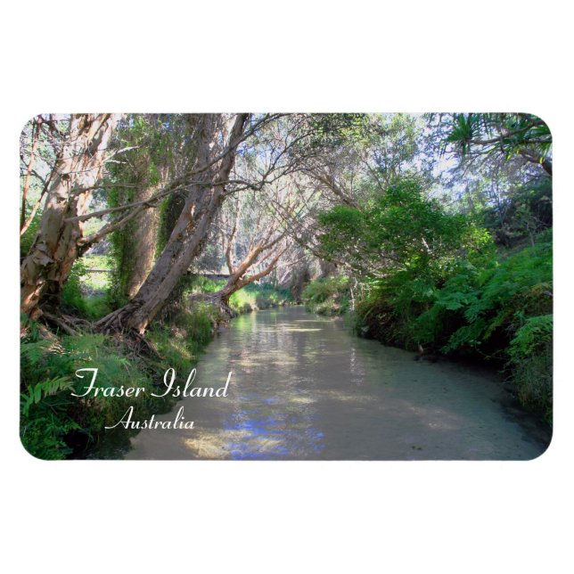 Ímã Eli Creek Fraser Island, Austrália, Premium Magnet (Horizontal)