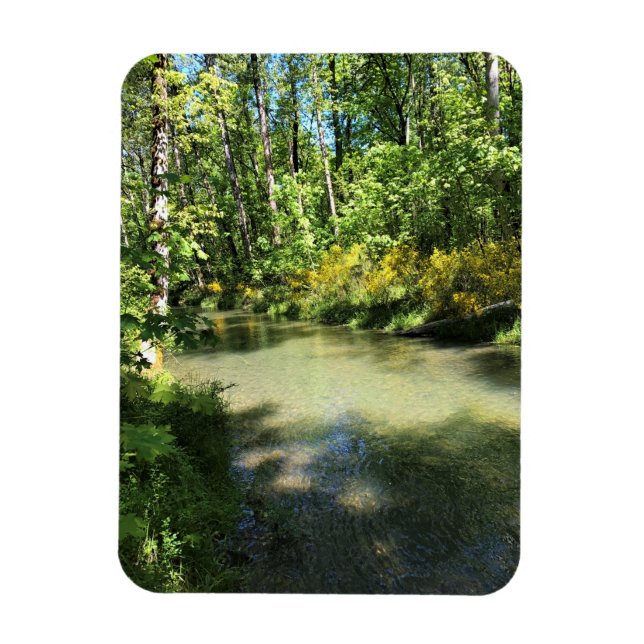 Ímã Elijah Bristow State Park, Dexter, Oregon (Vertical)