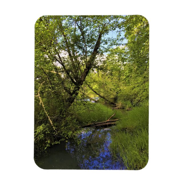 Ímã Elijah Bristow State Park, Dexter, Oregon (Vertical)