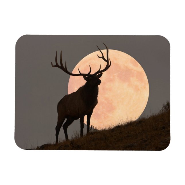 Ímã Elk Bull Elk e Moon Rise (Horizontal)