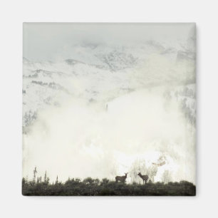 Imã Elk no Grand Teton National Park Fotografia