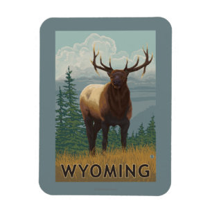 Ímã Elk SceneWyoming