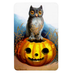 Ímã Ellen H. Palheta: Halloween Owl