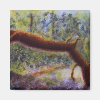 Imã Elora Gorge, Magnet