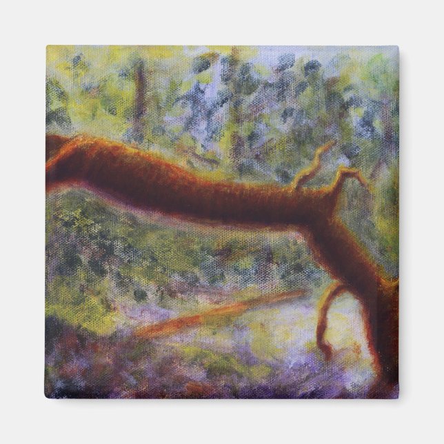 Imã Elora Gorge, Magnet (Frente)