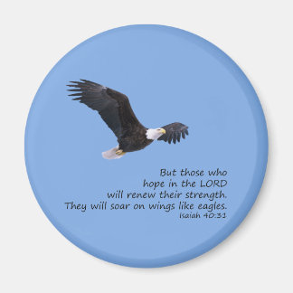 Imã Em Asas Como O Magneta De Águias