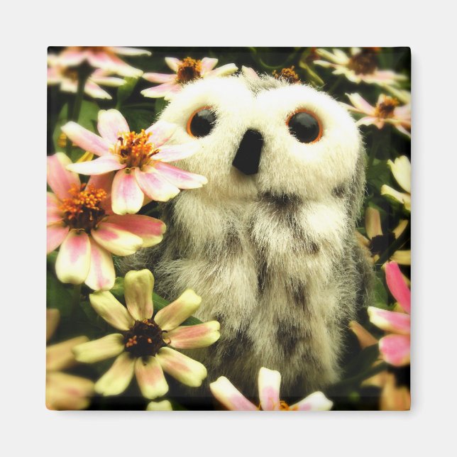 Imã Em Busca De Fadas (Frente)