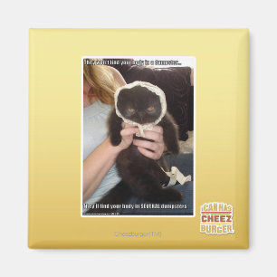 Imã Em diversos contentores