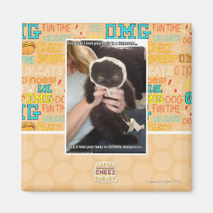 Imã Em diversos contentores