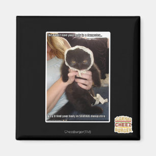 Imã Em diversos contentores