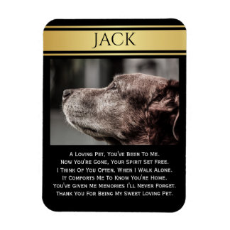 Ímã Em Memória De Um Pet Perdido