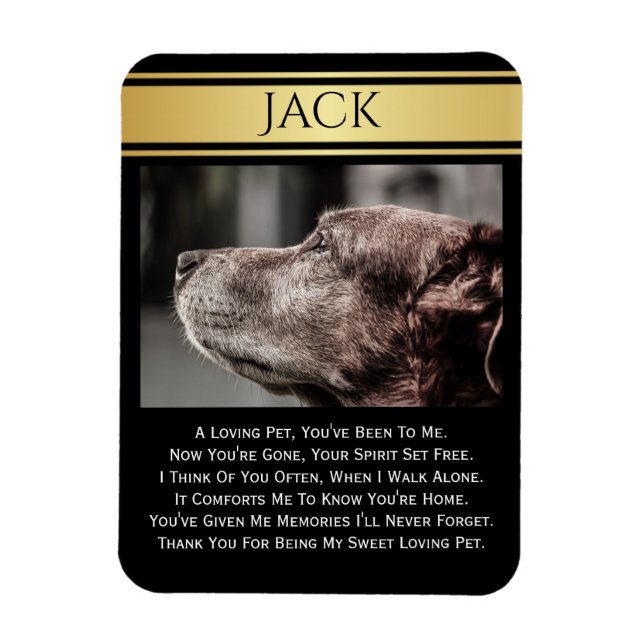 Ímã Em Memória De Um Pet Perdido (Vertical)
