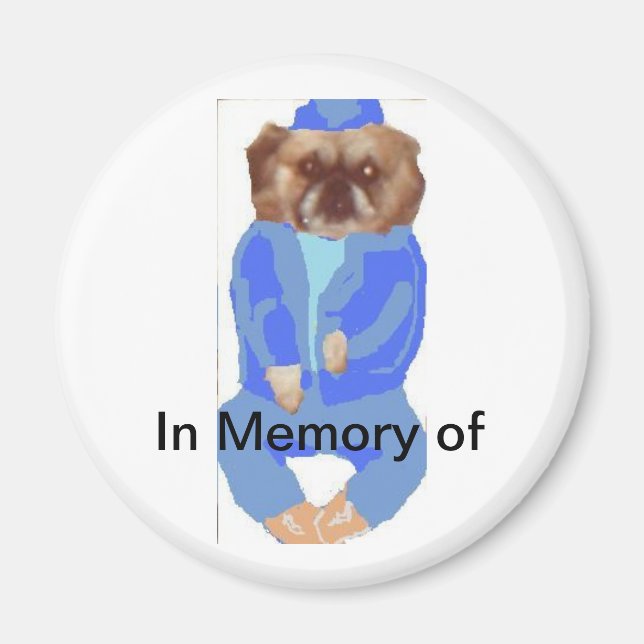 Imã Em Memória Do Magnet (Frente)