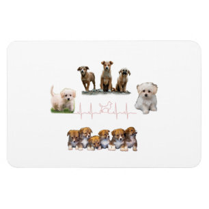 Ímã Embalagem de cães, Encapsulamento Engraçado