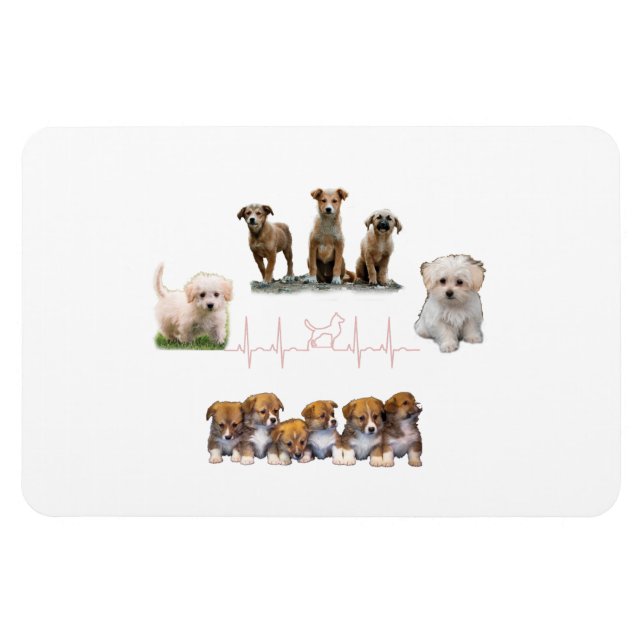 Ímã Embalagem de cães, Encapsulamento Engraçado (Horizontal)