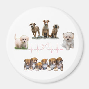 Imã Embalagem de cães, Encapsulamento Engraçado