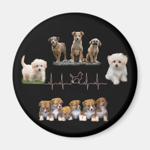 Imã Embalagem de cães, Encapsulamento Engraçado