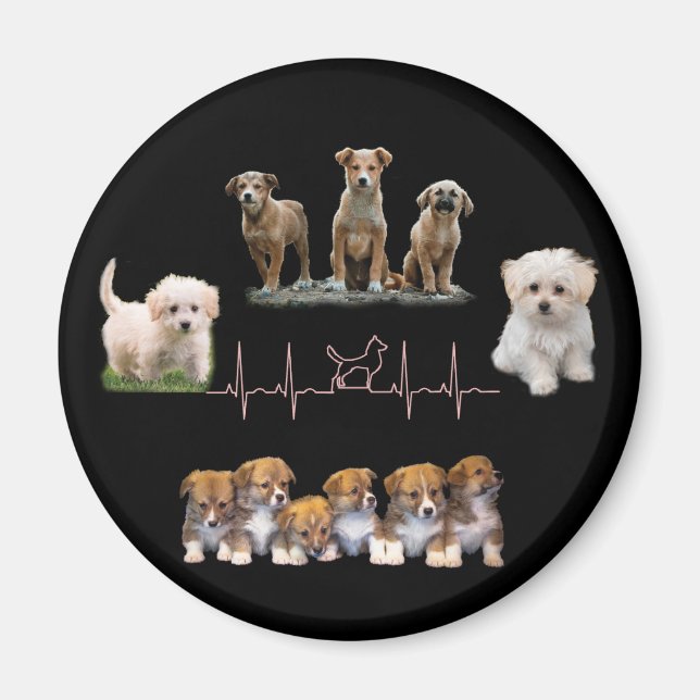 Imã Embalagem de cães, Encapsulamento Engraçado (Frente)