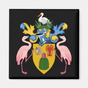 Imã emblema das Ilhas Turks e Caicos