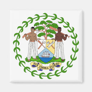 Imã emblema de belize
