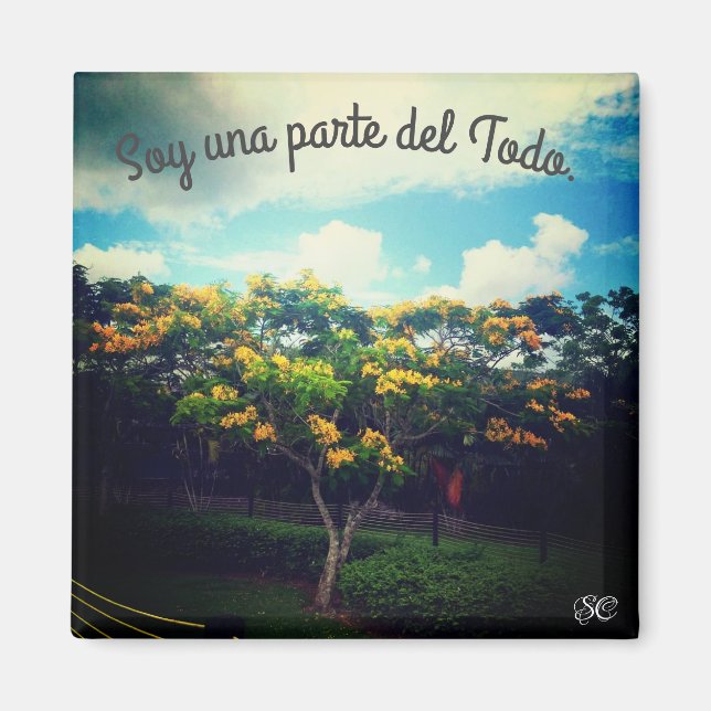 Imã emdaporamiento (Frente)