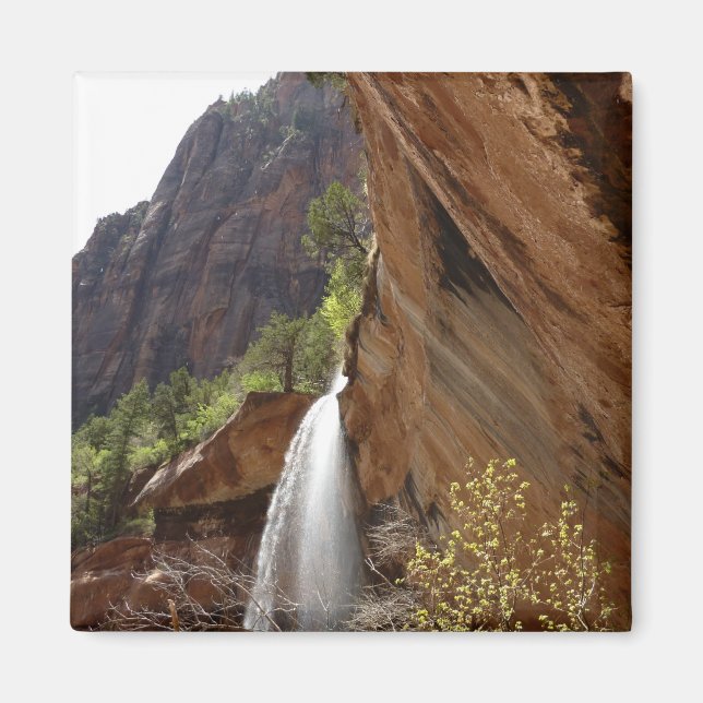 Imã Emerald Pool Falls III do Parque Nacional de Zion (Frente)