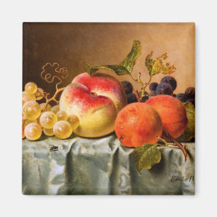 Imã Emilie Preyer: Frutas com mosca