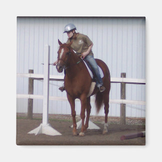 IMÃ EMILY DURANTE O SHOW DE CAVALO