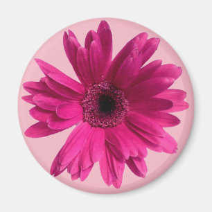 Imã Emoji cor-de-rosa da margarida