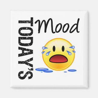 Imã Emoticon de humor de hoje chorando