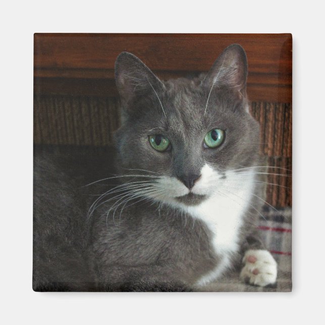 Imã Empoeirado (Frente)