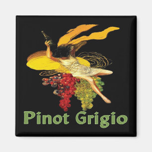 Imã Empregada doméstica do vinho de Pinot Grigio